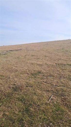 #atv #bashan #200cc TikTok