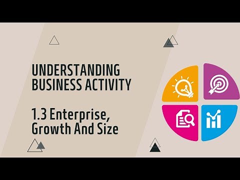 IGCSE Business Studies: Chapter 1.3 Enterprise, Growth and Size