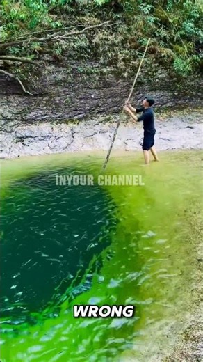 It Looks Safe… But One Step Could Be Fatal #shorts