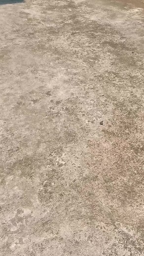 Discover the Exciting World of Fixie Bikes and Cycling | Bike Upgrade, Accessories, and More!