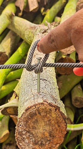 Impossible Rope Knot on Nail ✅💡 #shorts #lifehacks #viral