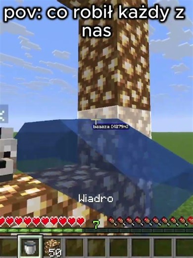 Każdy To Robił #shorts #minecraft #nostalgia #aether #youtube