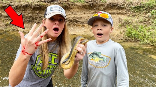 What Snake Encounters Reveal About Creek Exploration