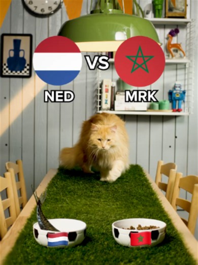 Oranje wint weer: Louis heeft vertrouwen in de winst