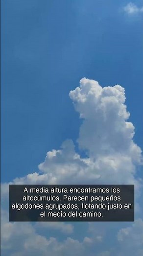 Clasificación de Nubes: Cirros, Altocúmulos y Estratos