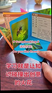 如何用一张纸画画scrapbook