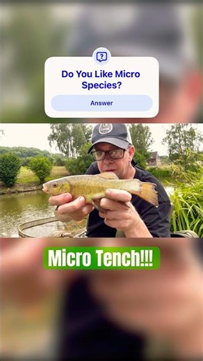 Float Fishing for Tiny Tench: Micro Species 🎣 #shorts #fishing
