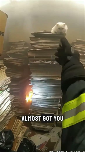 HE WAS TRAPPED ON A MOUNTAIN OF FIRE! 🏔️🔥 Heart-Stopping Rescue! #subscribe