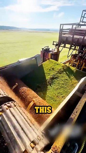 This giant machine #Facts #DidYouKnow #InterestingFacts #LearnSomethingNew #FactsMatter #KnowledgeIsPower #FactCheck #TrueFacts #FactsDaily #MindBlowingFacts #fbviralreeels #fypage #viralpost2025 | Tech Mpire