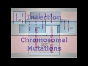 Chromosomal Mutations