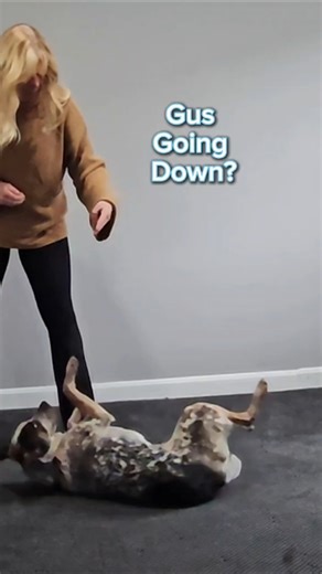 Bang 💥 Gus Going Down | Behavior Shaping ⚓ (Part 2)