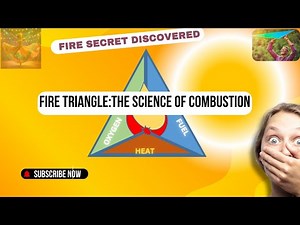 Fire Triangle: The Science of Combustion