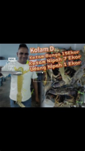 🔥🔥 KOLAM D Hari Ini Meletup Gila 🔥🔥 ⚡ Pemancing Tarik tak Berhenti, Ketam mengamuk dalam air🦀🦀🦀🦀 ⚡ Setiap sentapan bagi degup jantung macam nak tercabut🎣🎣🎣 💥 Nak rasa “tarik sampai meremang”? 💥 Nak rasa strike yang buat kau ketagih? Datang Kolam Pancing NSS Fishing Village 渔你同乐 Kolam D (Ketam Bunga & Ketam Nipah) 👍👍 ⚠️Berani datang, berani bawa balik hasil POWER 📍Kolam Pancing NSS Fishing Village Krubong #fyp #melakaviral #所有人 #highlightseveryonefollowers #ketam