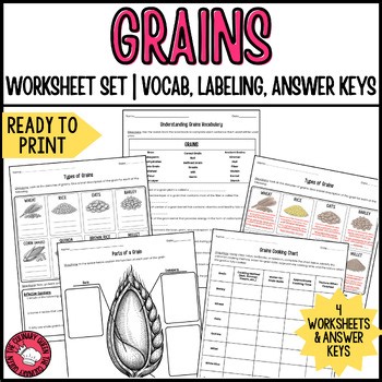 Grains Worksheets for Culinary Arts & FACS | Vocabulary, Types & Cooking Activit