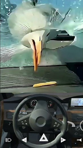 Bird 🆚 BMW M3 😱🥶 Car Simulator 2 #shorts #youtubeshorts