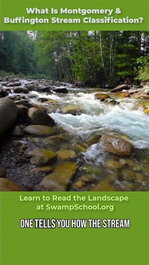 What Is Montgomery & Buffington Stream Classification?