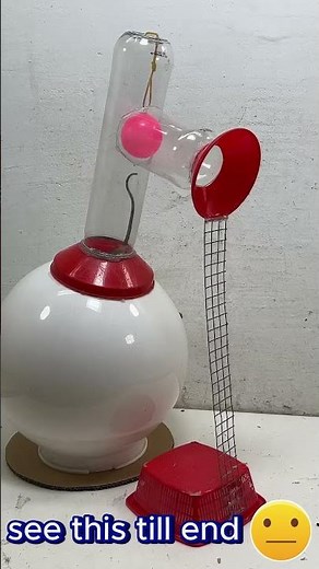 Best Mouse Trap Ever? Watch This Genius Trap in Action!#BestMouseTrap #MouseTrap