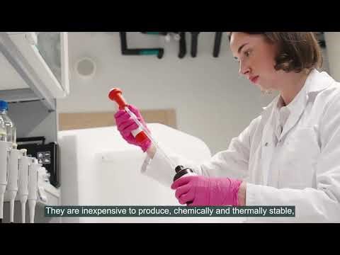 BioPhoT projekts: RAPID-M