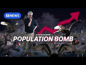 Black Swans 1 | The Population Bomb | If You're Listening
