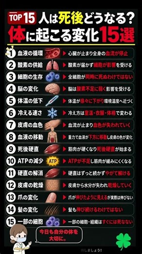 【人体の不思議】人は死後どうなる？体に起こる変化TOP15#死後 #人体の不思議#健康知識#体の仕組み#科学雑学#人体#健康情報#雑学#医学知識#体の科学