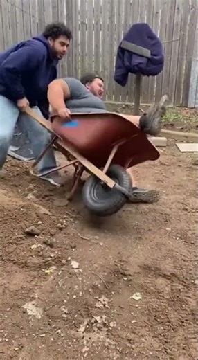Big Belly Man vs Wheelbarrow Ride FAIL 😂 Backyard Stunt Goes Instantly Wrong #FunnyFails #viral