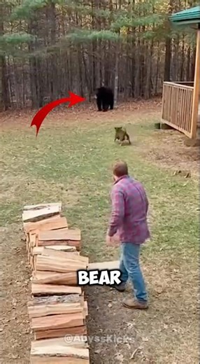 Bear attacks owner but dog had other decisions 🐶🐶#shorts