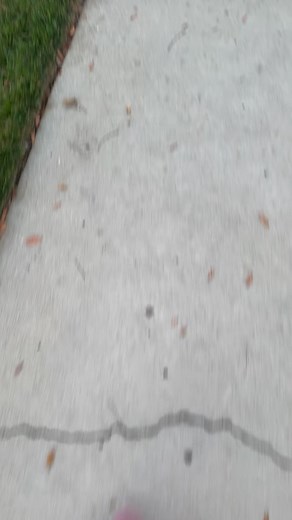 16 reactions | Impulse control is one of the most important qualities...