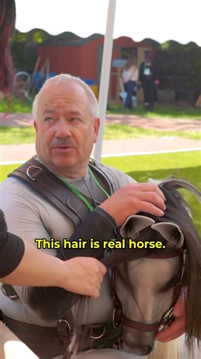 Wild Horses #documentary #documentaries