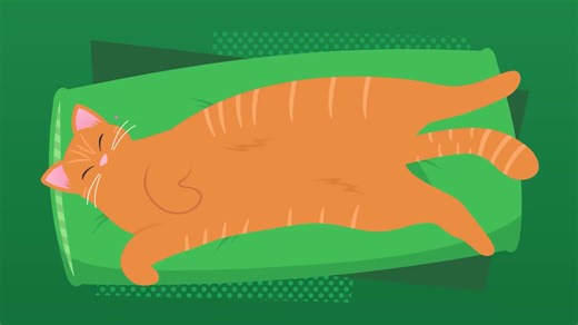 Learn WCAG basics with Silktide's video series | Silktide posted on the topic | LinkedIn