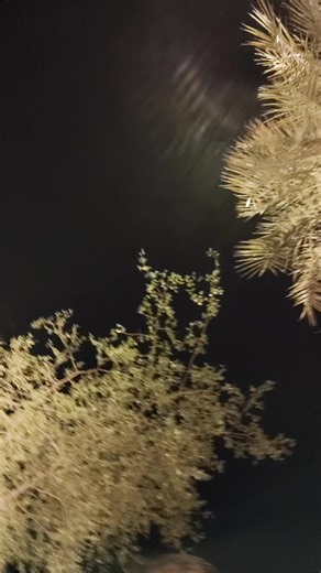 حسابات مقترحة