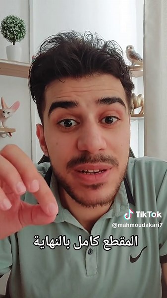 تعارف روسيات في روسيا: مغامرات العرب وبنات روسيا