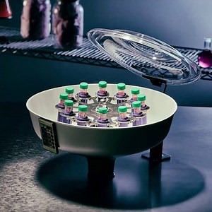 9.9K views · 29 reactions | Intense cotton candy flavor. Anything but...