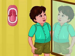 Types of Teeth and Structure of a Tooth