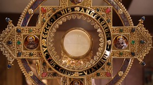 "A Holy Hour of Adoration in our modern rat race is necessary for authentic prayer." 🙏 | Franciscan Missionaries of the Eternal Word