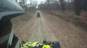 atv,quad,offroad