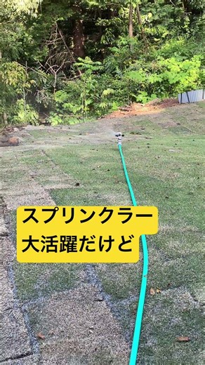 芝生の水やり #diy #庭作業 #アウトドア #散水