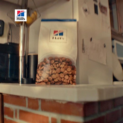 Feed Hill's premium pet food to help give your pet a long, healthy life. SCIENCE DOES MORE. | Hill’s Pet Nutrition