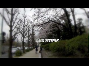 反原発抗議行動 2013.3.29 断章 - 国会前清志郎通りから世界へ -