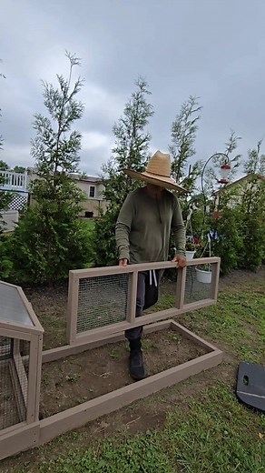 Installing quail run - DIY project #ideas #diyprojects #backyard | Kabsat