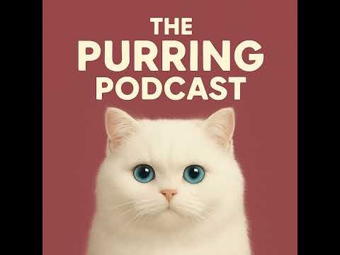 Episode 246 - Comforting Cat Purrs for Relaxation and Sleep Support – (ASMR, Study, Calm, Stress ...