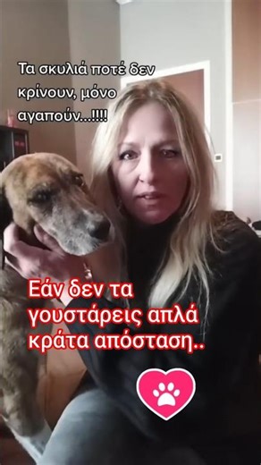 Εάν δεν γουστάρεις τα σκυλιά απλά κράτα απόσταση ❤️ #dog #σκύλος #tiktok #memes #αστεία #greekcomedy