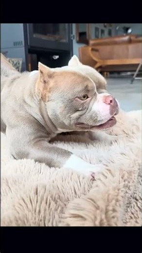 ✨ Diferentes — funcionam? (Different — do they work?)