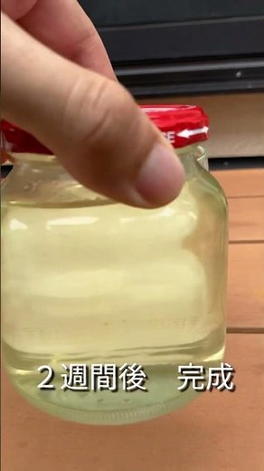 梅と氷砂糖と酢で梅シロップを作ってみた
