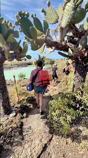 Epic Hike in the Galápagos 🌵 San Cristóbal’s Cactus & Lagoon Path