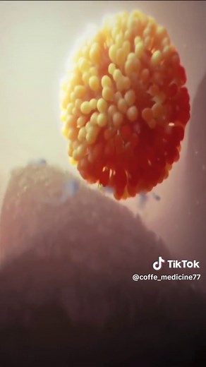 sabías que ? el gen SRY es un gen localizado en el cromosoma Y , esencial para la determinación del sexo masculino. #ciencia #sabiasque #sabiasquetiktok #curiosidades #medicina #viral #flip #foryou #viraltiktok #medicine #medicinatiktok #datoscuriosos #datosmedicos #tiktok #flypシ