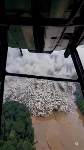 2K views |  Military Drone Captures Swarm of Giant Anacondas in Amazon | Plot Point Movies | Facebook