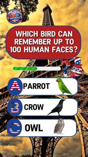 Which bird can remember up to 100 human faces? #usaquiz #usa #birds #birdsfacts #didyouknow