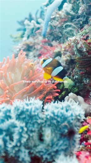 The small, daily choices we make add up, and the ones who pay for it are those without control. | 4ocean