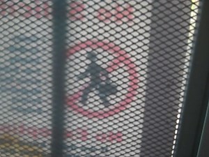 Watch Flip UltraHD Video Camera - White, 8 GB, 2 Hours ﹙3rd Generation﹚ on Amazon Live