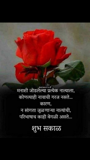 Goodmorning😊❤💯💞 . . #goodmorning #goodmorningquotes #creator #instagram #motivationalquotes #quotes #discoverpage #reels #goodmorningpost #goodmorningeveryone #goodmorningfriends #fyp #marathiquotes #ᴍᴀʀᴀᴛʜɪsᴛᴀᴛᴜs | Reshma Salunkhe